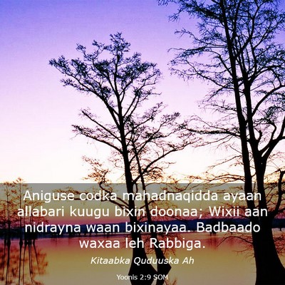 Picture 03 - Yoonis 2:9 SOM - Aniguse codka mahadnaqidda ayaan allabari kuugu - Bible Verse Picture