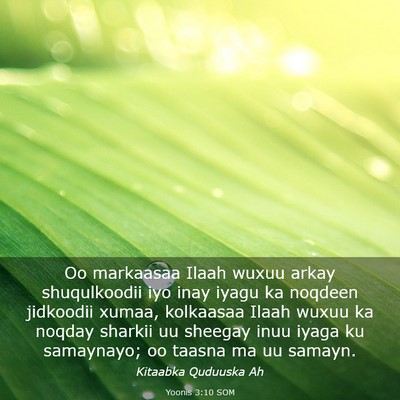 Picture 03 - Yoonis 3:10 SOM - Oo markaasaa Ilaah wuxuu arkay shuqulkoodii iyo - Bible Verse Picture