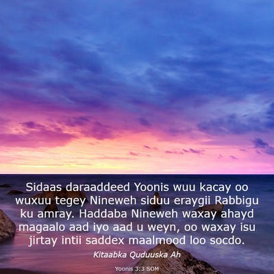 Picture 03 - Yoonis 3:3 SOM - Sidaas daraaddeed Yoonis wuu kacay oo wuxuu tegey - Bible Verse Picture