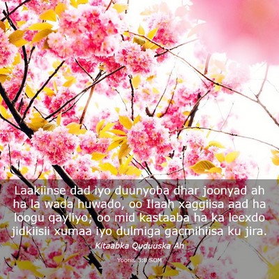 Picture 03 - Yoonis 3:8 SOM - Laakiinse dad iyo duunyoba dhar joonyad ah ha la - Bible Verse Picture