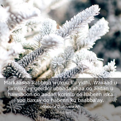 Picture 03 - Yoonis 4:10 SOM - Markaasaa Rabbigu wuxuu ku yidhi, Waxaad u - Bible Verse Picture