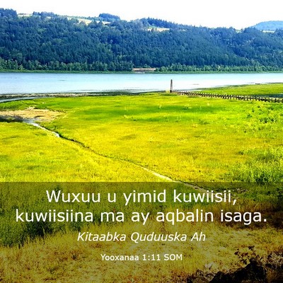 Picture 03 - Yooxanaa 1:11 SOM - Wuxuu u yimid kuwiisii, kuwiisiina ma ay aqbalin - Bible Verse Picture