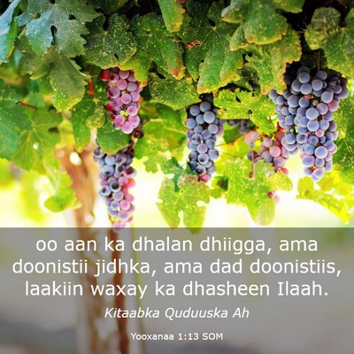 Picture 03 - Yooxanaa 1:13 SOM - oo aan ka dhalan dhiigga, ama doonistii jidhka, - Bible Verse Picture