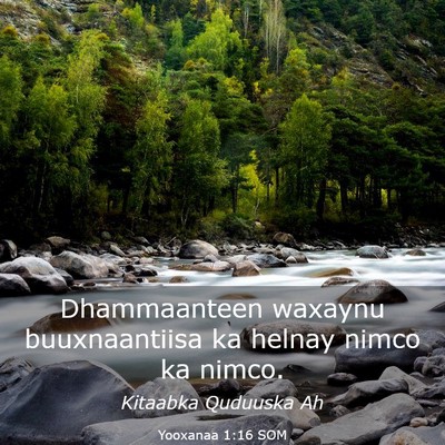 Picture 03 - Yooxanaa 1:16 SOM - Dhammaanteen waxaynu buuxnaantiisa ka helnay - Bible Verse Picture