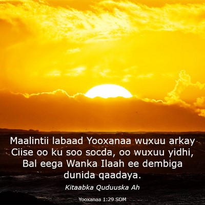 Picture 03 - Yooxanaa 1:29 SOM - Maalintii labaad Yooxanaa wuxuu arkay Ciise oo ku - Bible Verse Picture