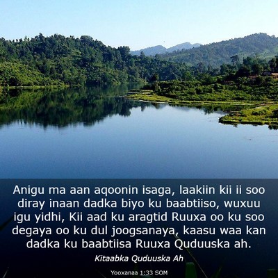 Picture 03 - Yooxanaa 1:33 SOM - Anigu ma aan aqoonin isaga, laakiin kii ii soo - Bible Verse Picture