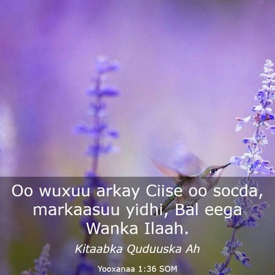Picture 03 - Yooxanaa 1:36 SOM - Oo wuxuu arkay Ciise oo socda, markaasuu yidhi, - Bible Verse Picture