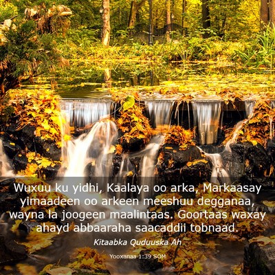 Picture 03 - Yooxanaa 1:39 SOM - Wuxuu ku yidhi, Kaalaya oo arka, Markaasay - Bible Verse Picture