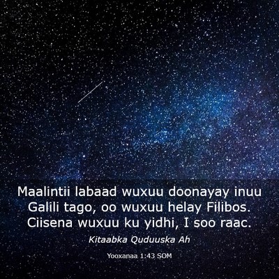 Picture 03 - Yooxanaa 1:43 SOM - Maalintii labaad wuxuu doonayay inuu Galili tago, - Bible Verse Picture