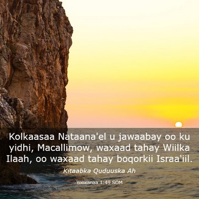 Picture 03 - Yooxanaa 1:49 SOM - Kolkaasaa Nataana'el u jawaabay oo ku yidhi, - Bible Verse Picture