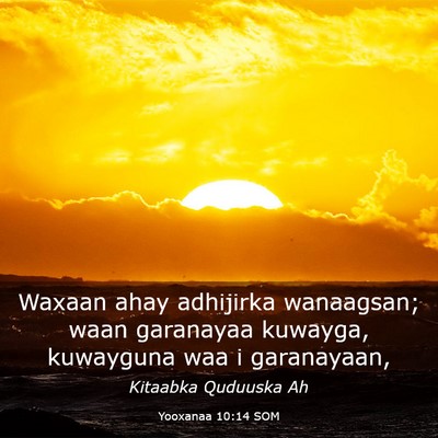 Picture 03 - Yooxanaa 10:14 SOM - Waxaan ahay adhijirka wanaagsan; waan garanayaa - Bible Verse Picture