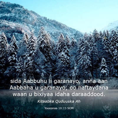 Picture 03 - Yooxanaa 10:15 SOM - sida Aabbuhu ii garanayo, anna aan Aabbaha u - Bible Verse Picture