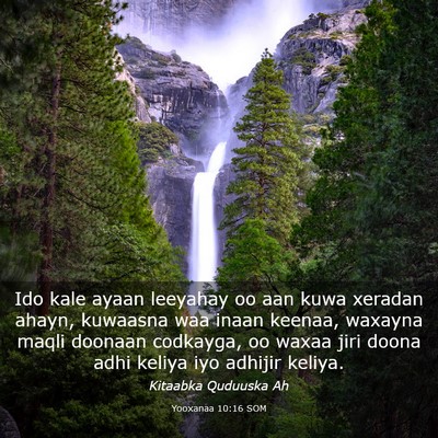 Picture 03 - Yooxanaa 10:16 SOM - Ido kale ayaan leeyahay oo aan kuwa xeradan - Bible Verse Picture