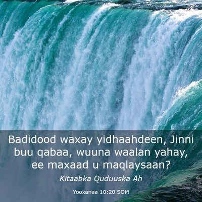 Picture 03 - Yooxanaa 10:20 SOM - Badidood waxay yidhaahdeen, Jinni buu qabaa, - Bible Verse Picture