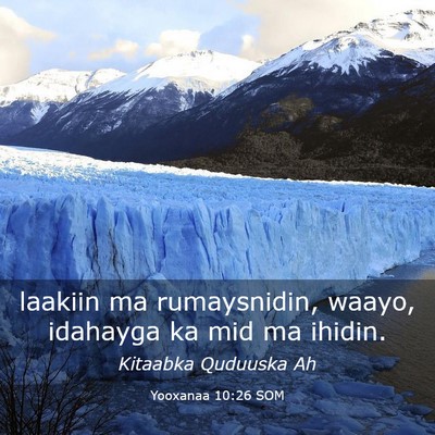 Picture 03 - Yooxanaa 10:26 SOM - laakiin ma rumaysnidin, waayo, idahayga ka mid ma - Bible Verse Picture