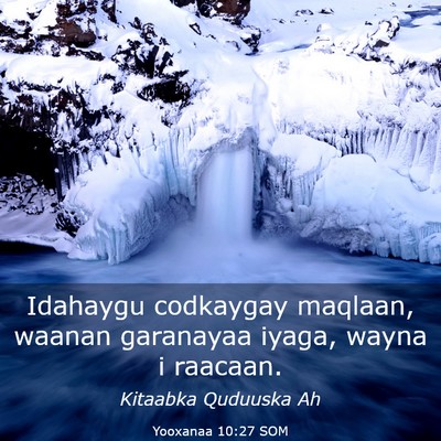 Picture 03 - Yooxanaa 10:27 SOM - Idahaygu codkaygay maqlaan, waanan garanayaa - Bible Verse Picture