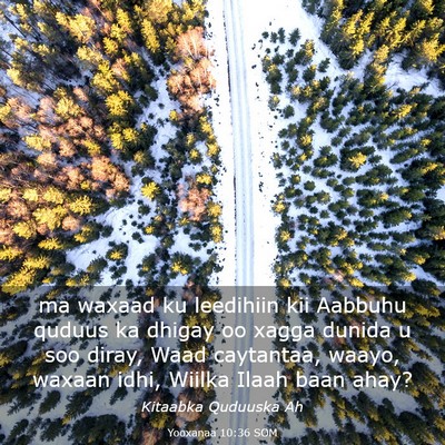 Picture 03 - Yooxanaa 10:36 SOM - ma waxaad ku leedihiin kii Aabbuhu quduus ka - Bible Verse Picture