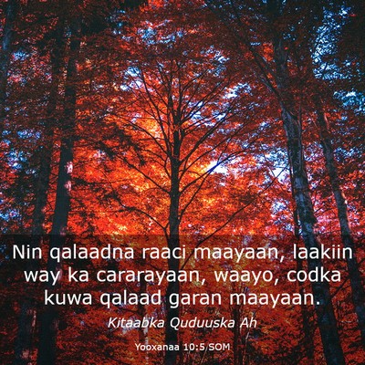 Picture 03 - Yooxanaa 10:5 SOM - Nin qalaadna raaci maayaan, laakiin way ka - Bible Verse Picture