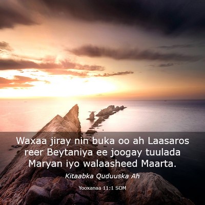 Picture 03 - Yooxanaa 11:1 SOM - Waxaa jiray nin buka oo ah Laasaros reer - Bible Verse Picture