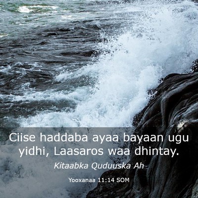 Picture 03 - Yooxanaa 11:14 SOM - Ciise haddaba ayaa bayaan ugu yidhi, Laasaros waa - Bible Verse Picture