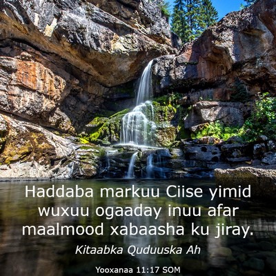 Picture 03 - Yooxanaa 11:17 SOM - Haddaba markuu Ciise yimid wuxuu ogaaday inuu - Bible Verse Picture