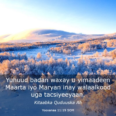 Picture 03 - Yooxanaa 11:19 SOM - Yuhuud badan waxay u yimaadeen Maarta iyo Maryan - Bible Verse Picture