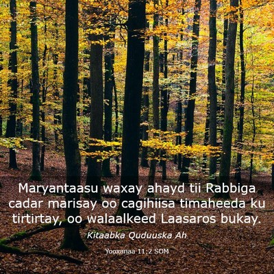 Picture 03 - Yooxanaa 11:2 SOM - Maryantaasu waxay ahayd tii Rabbiga cadar marisay - Bible Verse Picture
