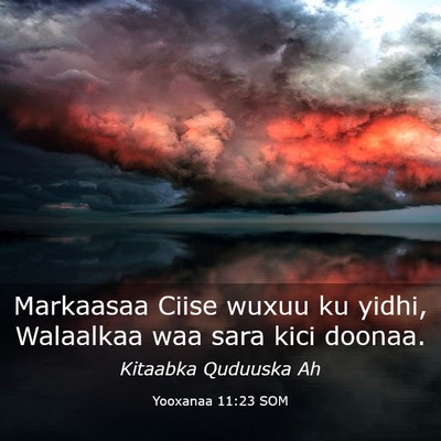 Picture 03 - Yooxanaa 11:23 SOM - Markaasaa Ciise wuxuu ku yidhi, Walaalkaa waa - Bible Verse Picture