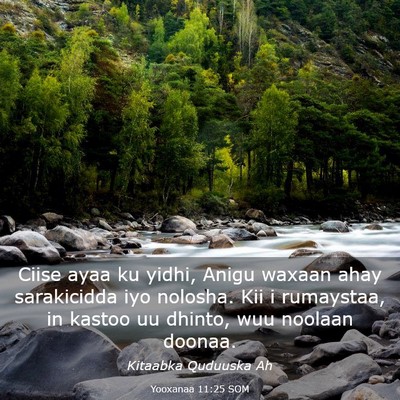 Picture 03 - Yooxanaa 11:25 SOM - Ciise ayaa ku yidhi, Anigu waxaan ahay - Bible Verse Picture