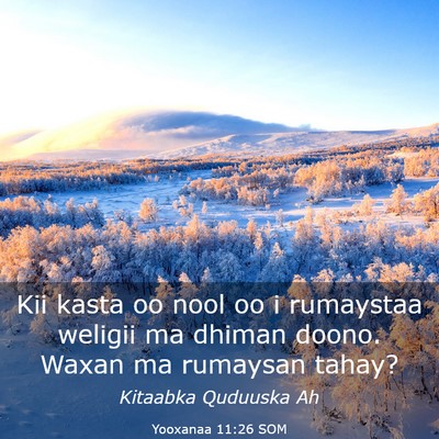 Picture 03 - Yooxanaa 11:26 SOM - Kii kasta oo nool oo i rumaystaa weligii ma - Bible Verse Picture