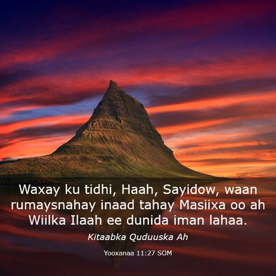 Picture 03 - Yooxanaa 11:27 SOM - Waxay ku tidhi, Haah, Sayidow, waan rumaysnahay - Bible Verse Picture
