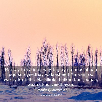 Picture 03 - Yooxanaa 11:28 SOM - Markay taas tidhi, way tagtay oo hoos ahaan ugu - Bible Verse Picture