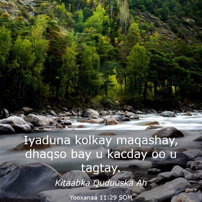 Picture 03 - Yooxanaa 11:29 SOM - Iyaduna kolkay maqashay, dhaqso bay u kacday oo u - Bible Verse Picture