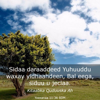 Picture 03 - Yooxanaa 11:36 SOM - Sidaa daraaddeed Yuhuuddu waxay yidhaahdeen, Bal - Bible Verse Picture