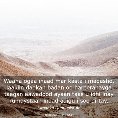 Picture 03 - Yooxanaa 11:42 SOM - Waana ogaa inaad mar kasta i maqasho, laakiin - Bible Verse Picture