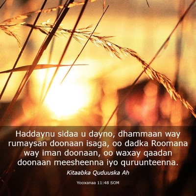 Picture 03 - Yooxanaa 11:48 SOM - Haddaynu sidaa u dayno, dhammaan way rumaysan - Bible Verse Picture