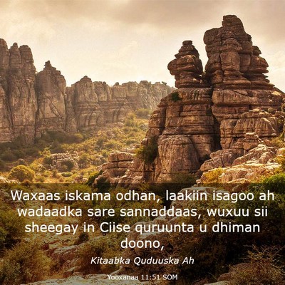 Picture 03 - Yooxanaa 11:51 SOM - Waxaas iskama odhan, laakiin isagoo ah wadaadka - Bible Verse Picture