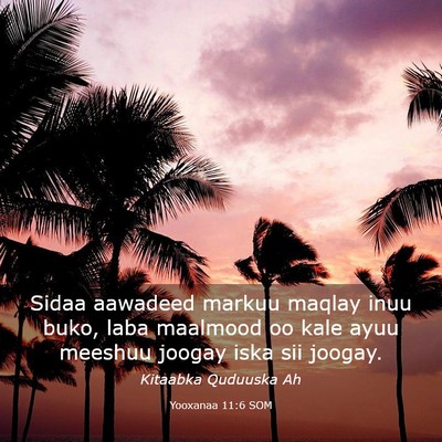Picture 03 - Yooxanaa 11:6 SOM - Sidaa aawadeed markuu maqlay inuu buko, laba - Bible Verse Picture
