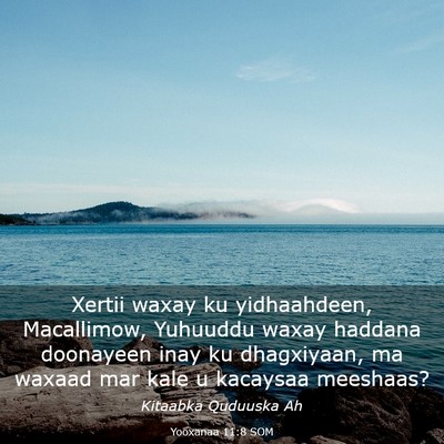 Picture 03 - Yooxanaa 11:8 SOM - Xertii waxay ku yidhaahdeen, Macallimow, Yuhuuddu - Bible Verse Picture