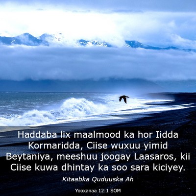 Picture 03 - Yooxanaa 12:1 SOM - Haddaba lix maalmood ka hor Iidda Kormaridda, - Bible Verse Picture