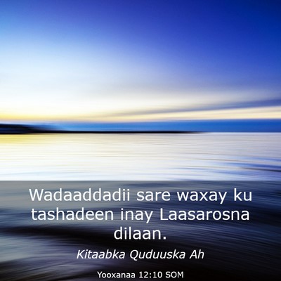 Picture 03 - Yooxanaa 12:10 SOM - Wadaaddadii sare waxay ku tashadeen inay - Bible Verse Picture