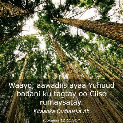 Picture 03 - Yooxanaa 12:11 SOM - Waayo, aawadiis ayaa Yuhuud badani ku tagtay oo - Bible Verse Picture