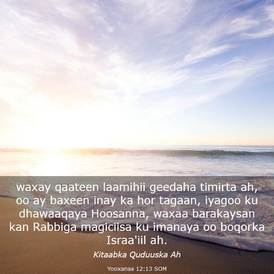 Picture 03 - Yooxanaa 12:13 SOM - waxay qaateen laamihii geedaha timirta ah, oo ay - Bible Verse Picture