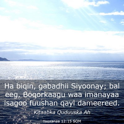 Picture 03 - Yooxanaa 12:15 SOM - Ha biqin, gabadhii Siyoonay; bal eeg, Boqorkaagu - Bible Verse Picture