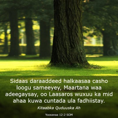 Picture 03 - Yooxanaa 12:2 SOM - Sidaas daraaddeed halkaasaa casho loogu sameeyey, - Bible Verse Picture