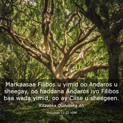 Picture 03 - Yooxanaa 12:22 SOM - Markaasaa Filibos u yimid oo Andaros u sheegay, - Bible Verse Picture