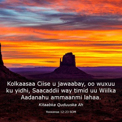 Picture 03 - Yooxanaa 12:23 SOM - Kolkaasaa Ciise u jawaabay, oo wuxuu ku yidhi, - Bible Verse Picture