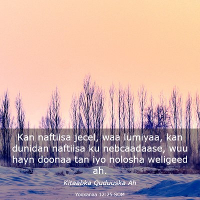Picture 03 - Yooxanaa 12:25 SOM - Kan naftiisa jecel, waa lumiyaa, kan dunidan - Bible Verse Picture