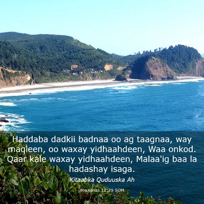 Picture 03 - Yooxanaa 12:29 SOM - Haddaba dadkii badnaa oo ag taagnaa, way maqleen, - Bible Verse Picture