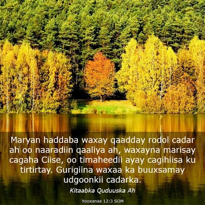 Picture 03 - Yooxanaa 12:3 SOM - Maryan haddaba waxay qaadday rodol cadar ah oo - Bible Verse Picture